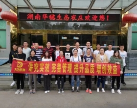 员工风采